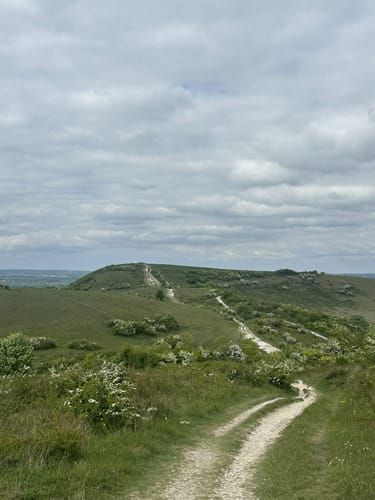 Open views